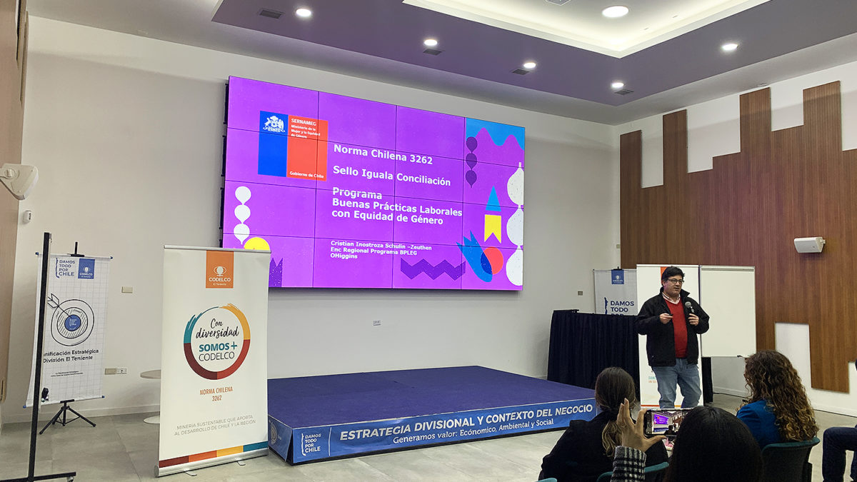 Participación en MasterClass sobre Diagnóstico de Igualdad de Género